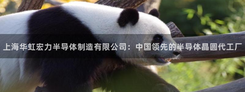 彩神是正规平台吗知乎：上海华虹宏力半导体制造有限公司：中国领