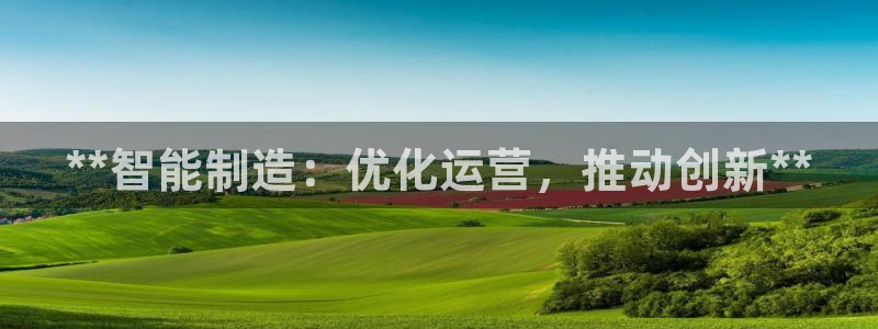 彩神vll官网在线登录：**智能制造：优化运营，推动创新**