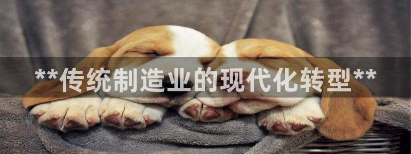 彩神V8平台：**传统制造业的现代化转型**