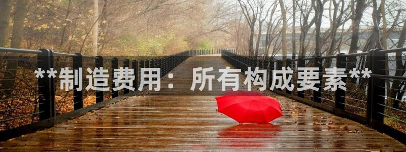 彩神V集团公司