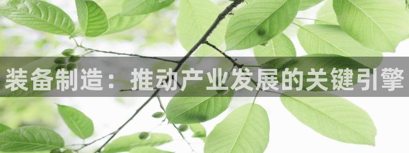 彩神网正规吗