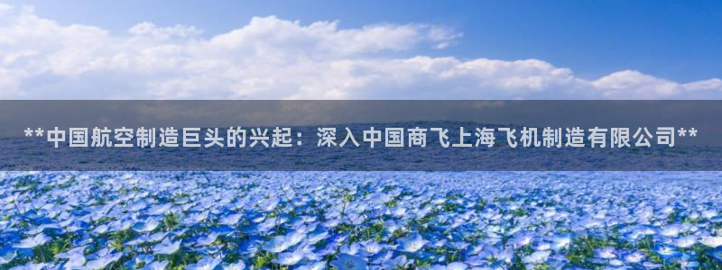 彩神v8平台正规吗可靠吗