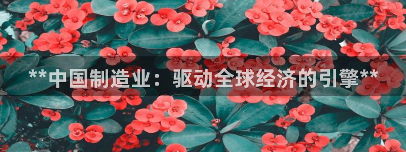 彩神通关注码金码对应码