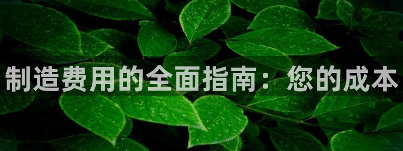 彩神iv真的能赚钱吗