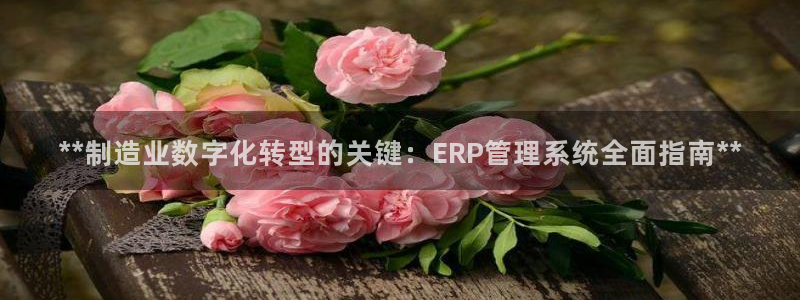 彩神ll能赚钱吗