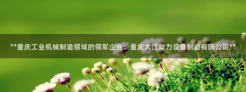 彩神v8平台正规吗安全吗