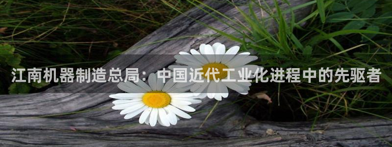 彩神广告有限公司