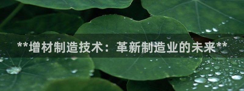 彩神v秘聊号码