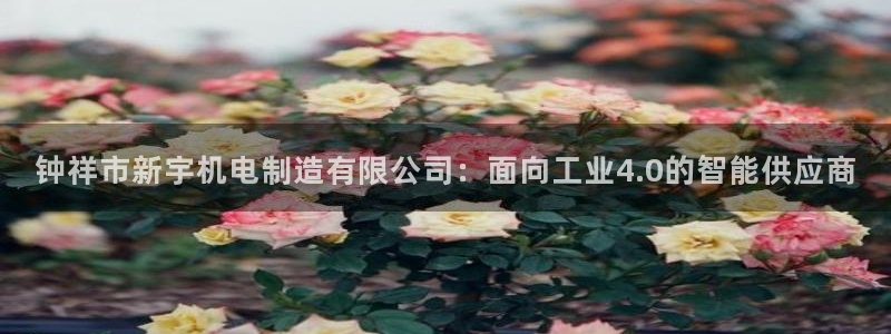 彩神大发如何观察走势