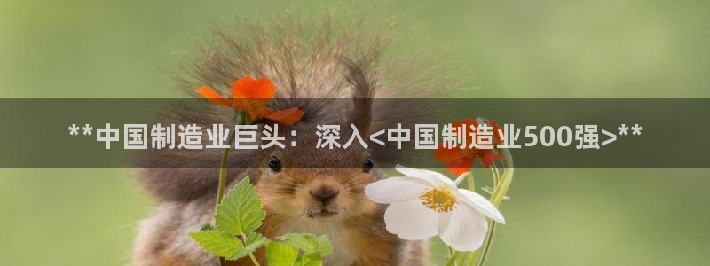 彩神VII购彩中心