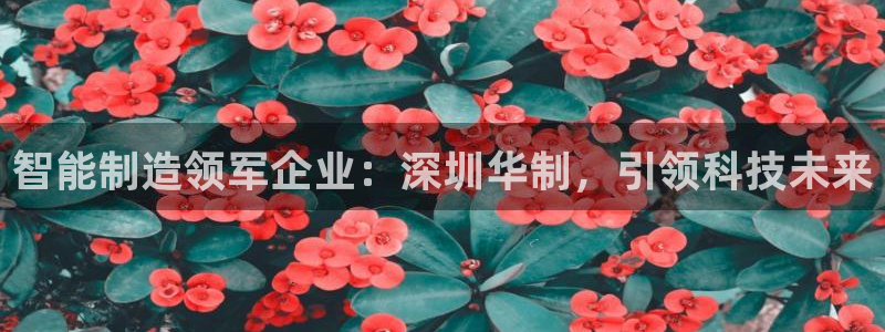 彩神赢钱了吗是真的吗