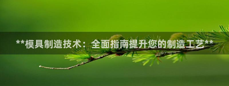 彩神v8下载网址：**模具制造技术：全面指南提升您的制造工艺**