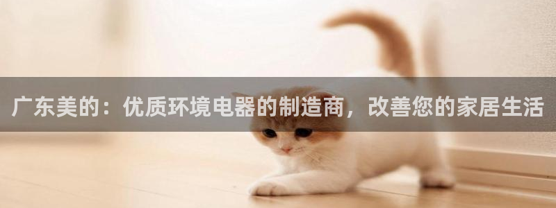 彩神vii购彩l心