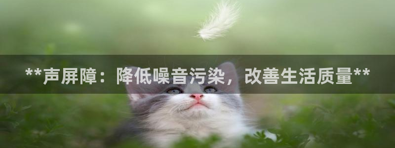 彩神平台是什么套路