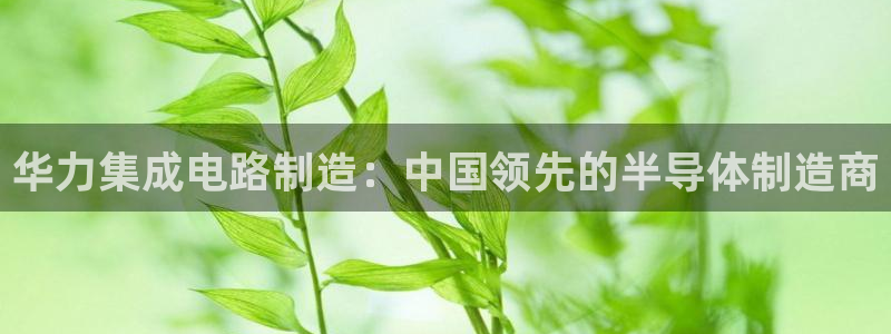 彩神iv是正规平台吗?：华力集成电路制造：中国领先的半导体制