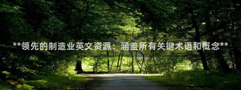 彩神V集团有限公司：**领先的制造业英文资源：涵盖所有关键术
