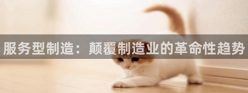 彩神大发三期计划网站：服务型制造：颠覆制造业的革命性趋势