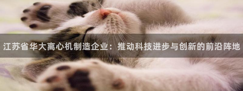 彩神vip购彩大厅：江苏省华大离心机制造企业：推动科技进步与创新的前沿阵地