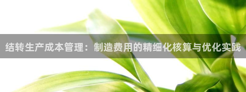 下载彩神通关注码：结转生产成本管理：制造费用的精细化核算与优化实践