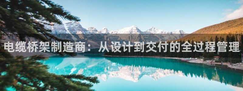 彩神是怎样一个平台：电缆桥架制造商：从设计到交付的全过程管理
