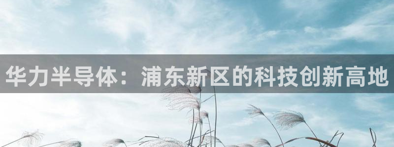 彩神vl购彩大厅：华力半导体：浦东新区的科技创新高地