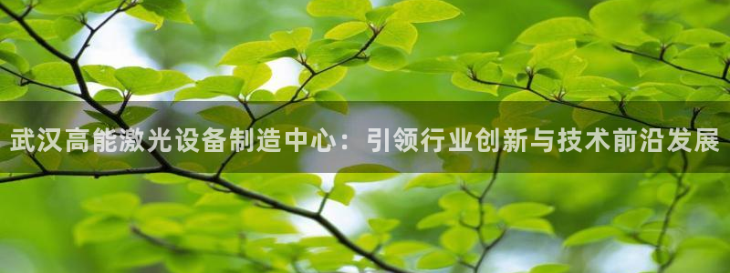 彩神ix官网：武汉高能激光设备制造中心：引领行业创新与技术前
