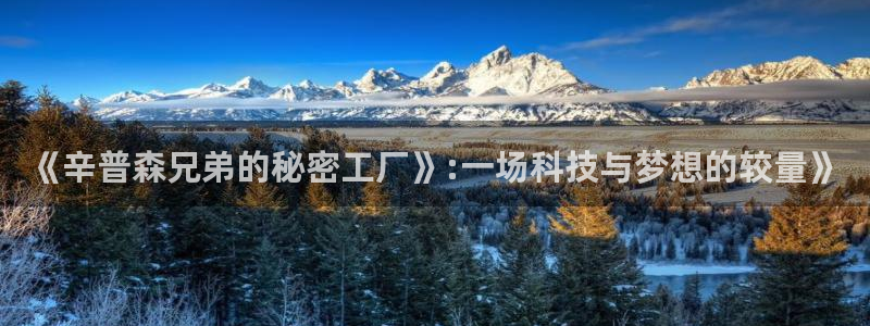 天天赢彩神：《辛普森兄弟的秘密工厂》:一场科技与梦想的较量》