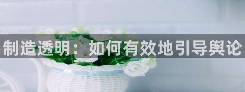 彩神平台是真的吗：制造透明：如何有效地引导舆论