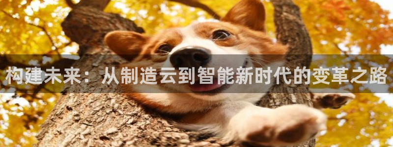 彩神平台是真的吗：构建未来：从制造云到智能新时代的变革之路