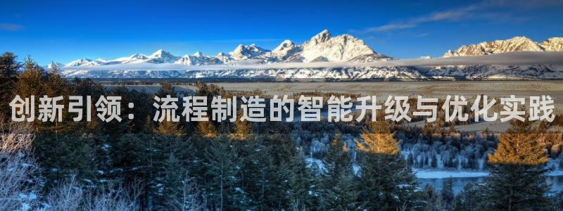 彩神用户登录：创新引领：流程制造的智能升级与优化实践
