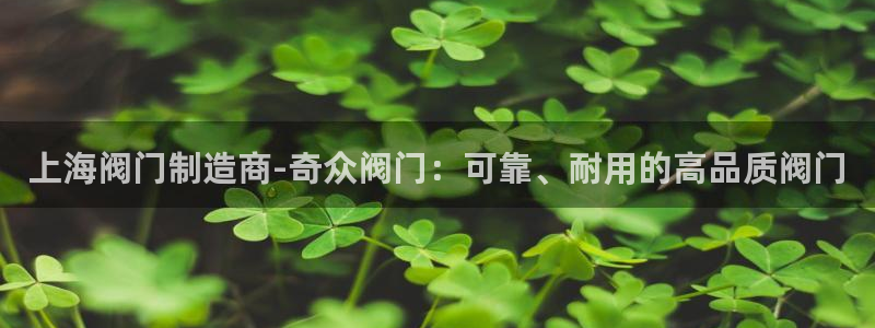彩神官方登录：上海阀门制造商-奇众阀门：可靠、耐用的高品质阀门