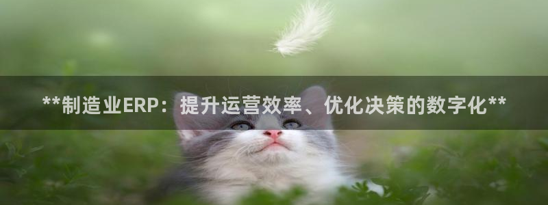 彩神争霸官网登录平台：**制造业ERP：提升运营效率、优化决策的数字化**