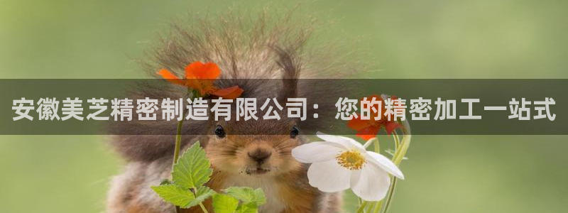 彩神viii下载安卓