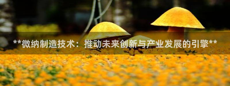 彩神8购彩-购彩大厅：**微纳制造技术：推动未来创新与产业发