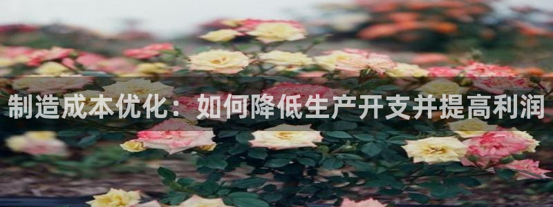 彩神平台是什么套路