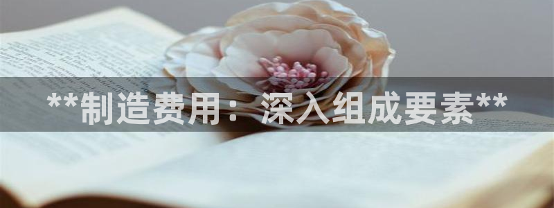 彩神 好 平台：**制造费用：深入组成要素**