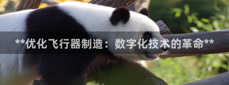 彩神vll首页企业文化：**优化飞行器制造：数字化技术的革命**