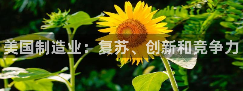 彩神ios下载