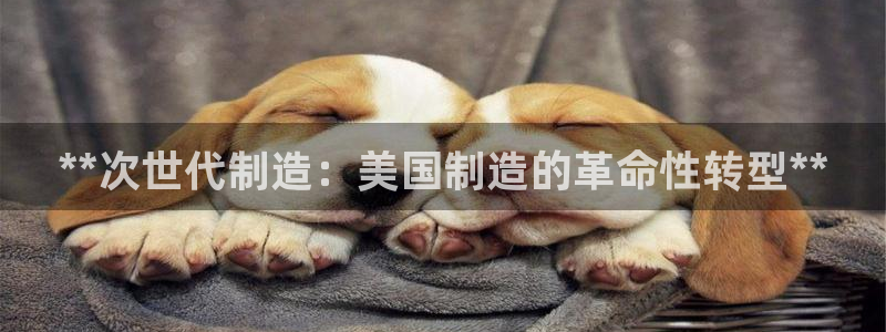 彩神vl官网：**次世代制造：美国制造的革命性转型**