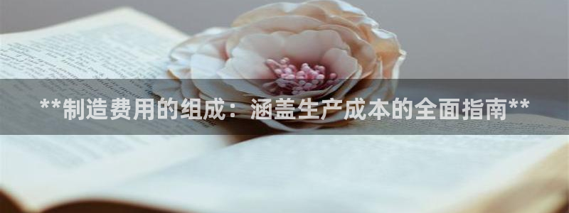 彩神的邀请码是多少：**制造费用的组成：涵盖生产成本的全面指南**