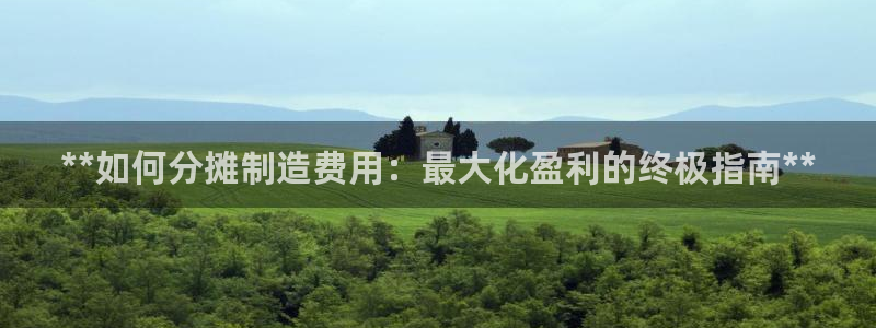 彩神vii官网大赢家：**如何分摊制造费用：最大化盈利的终极指南**