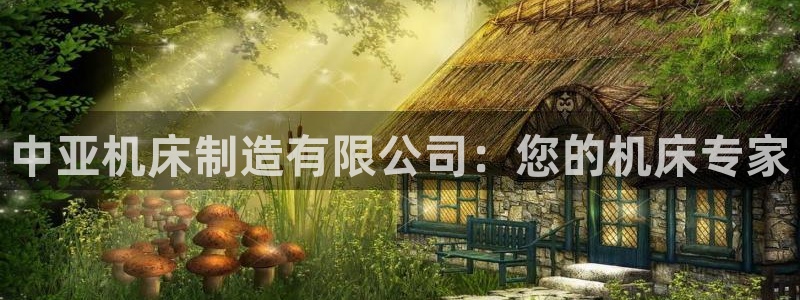 彩神V3大赢家：中亚机床制造有限公司：您的机床专家