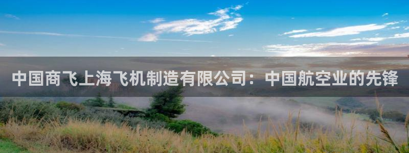 彩神8是正规平台吗是正品吗：中国商飞上海飞机制造有限公司：中国航空业的先锋