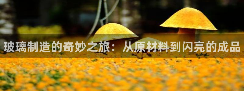 彩神v8下载网址：玻璃制造的奇妙之旅：从原材料到闪亮的成品