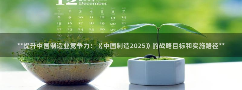 彩神vi争霸官网：**提升中国制造业竞争力：《中国制造2025》的战略目标和实施路径**
