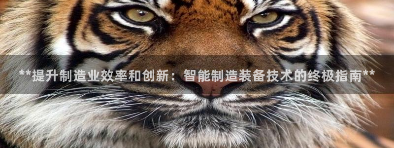 彩神app能挣到钱吗：**提升制造业效率和创新：智能制造装备技术的终极指南**