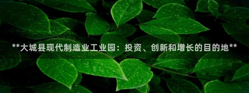 彩神iv真的能赚钱吗：**大城县现代制造业工业园：投资、创新和增长的目的地**