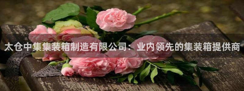 彩神这个平台是真的吗：太仓中集集装箱制造有限公司：业内领先的集装箱提供商