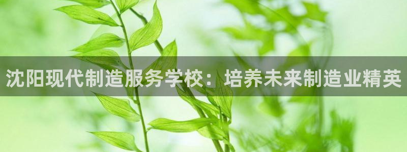 彩神v8下载app：沈阳现代制造服务学校：培养未来制造业精英