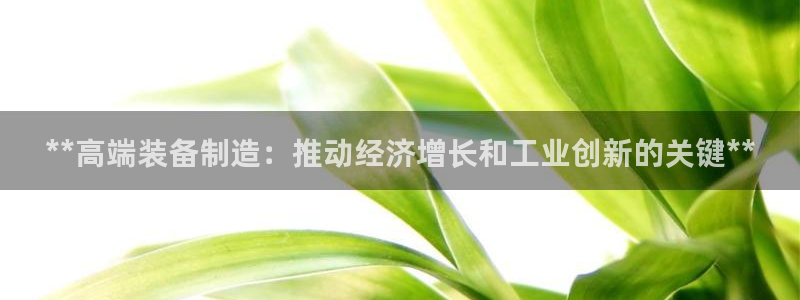 彩神vll购彩大厅：**高端装备制造：推动经济增长和工业创新的关键**